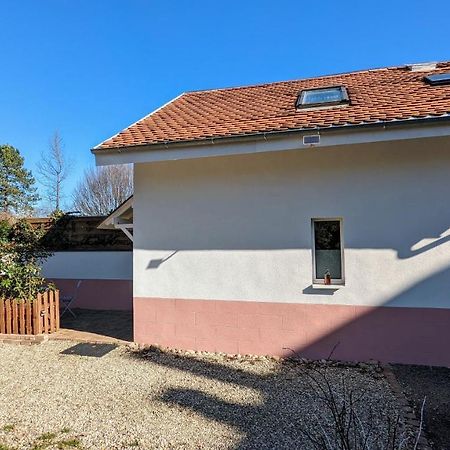 Studio Mezzanine Chez Papou, Ville Et Foret Strazburg Dış mekan fotoğraf