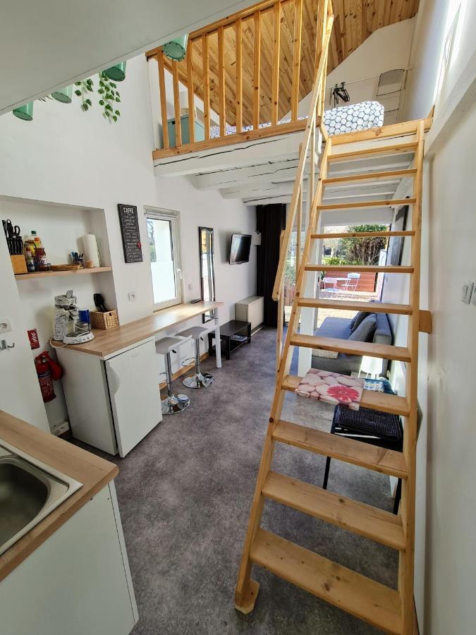 Studio Mezzanine Chez Papou, Ville Et Foret Strazburg Dış mekan fotoğraf
