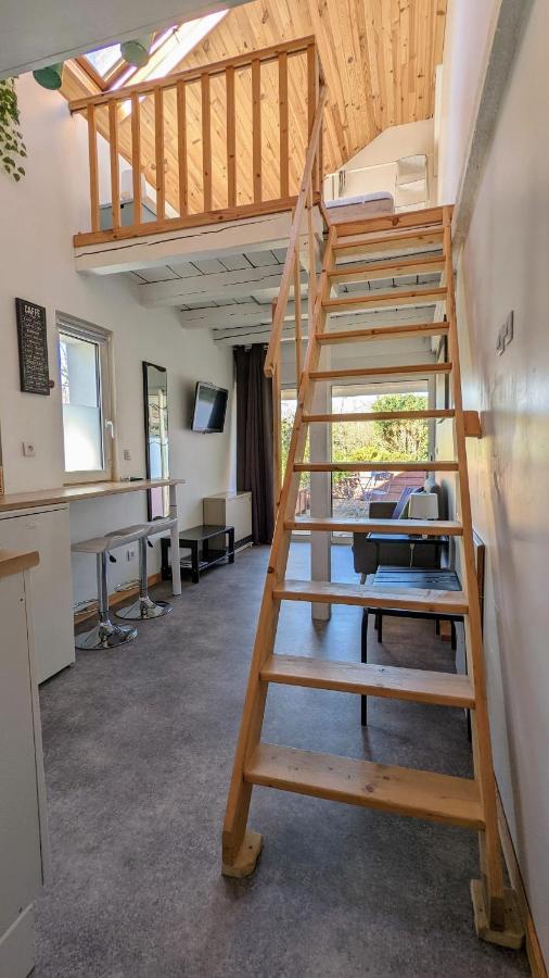 Studio Mezzanine Chez Papou, Ville Et Foret Strazburg Dış mekan fotoğraf