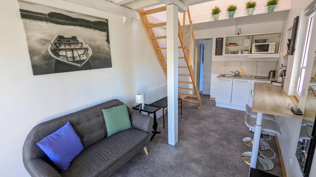 Studio Mezzanine Chez Papou, Ville Et Foret Strazburg Dış mekan fotoğraf