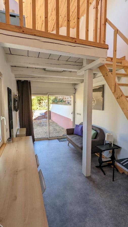 Studio Mezzanine Chez Papou, Ville Et Foret Strazburg Dış mekan fotoğraf