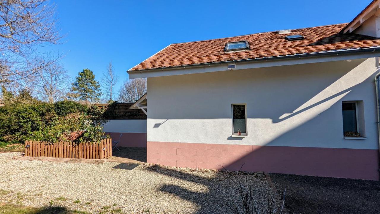 Studio Mezzanine Chez Papou, Ville Et Foret Strazburg Dış mekan fotoğraf